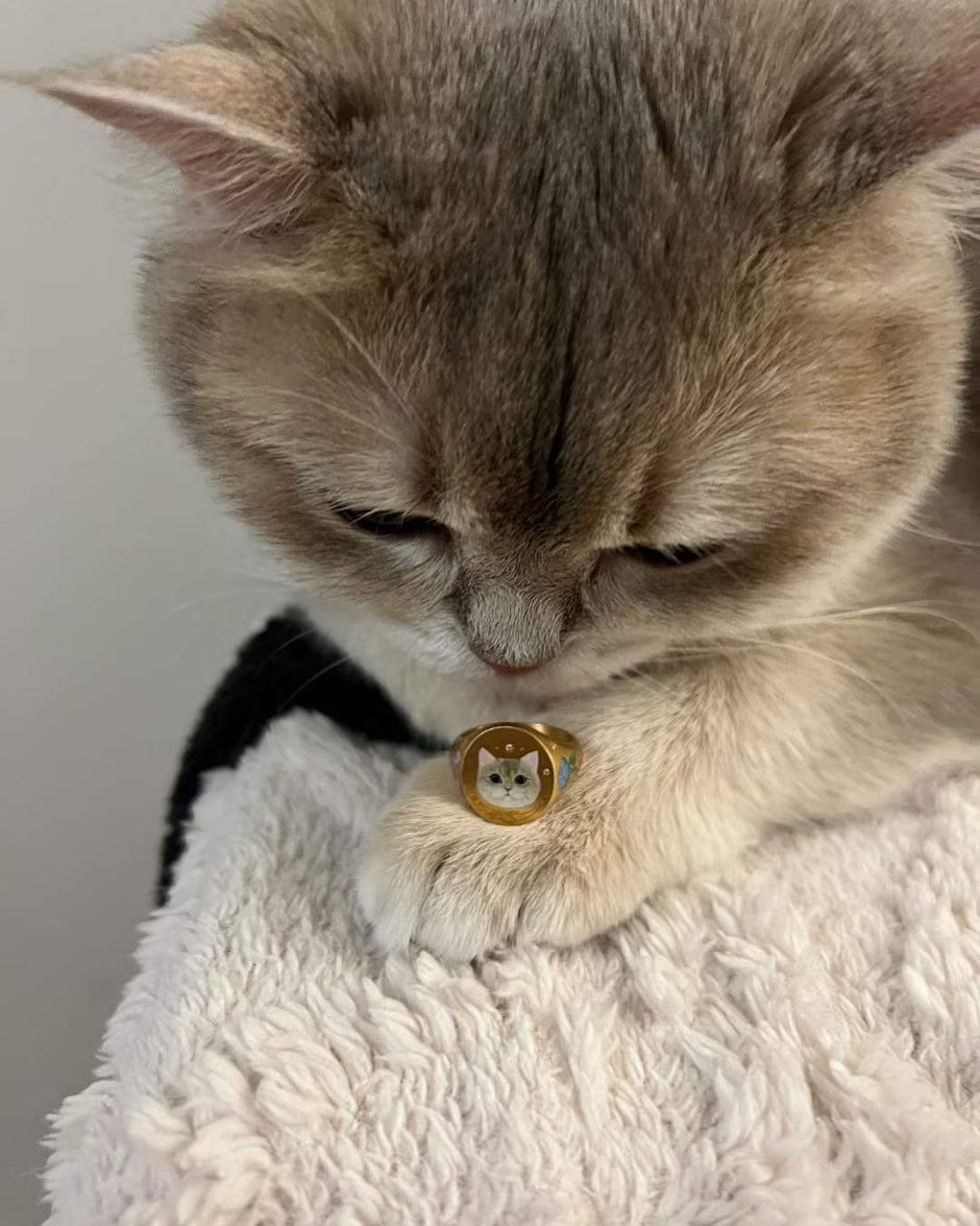Adorable cat wearing a personalized memorial pendant, a thoughtful gift for pet lovers to honor their beloved pets.